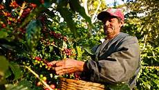 Coffee Industry