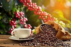 Coffee Roasters