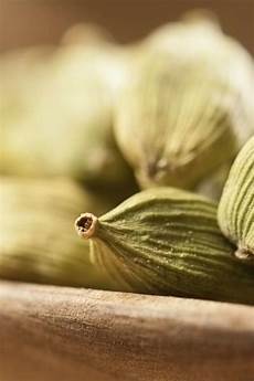 Coffee Seeds