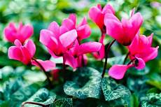 Horticulture Tools