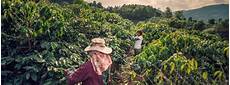 Origin Coffees