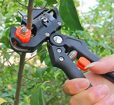 Pruning Tools