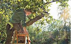 Pruning Tools